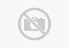Seat Ibiza FR